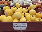 Yellow Pumpkin