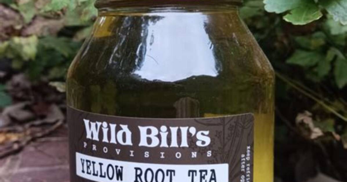Yellow Root Tea