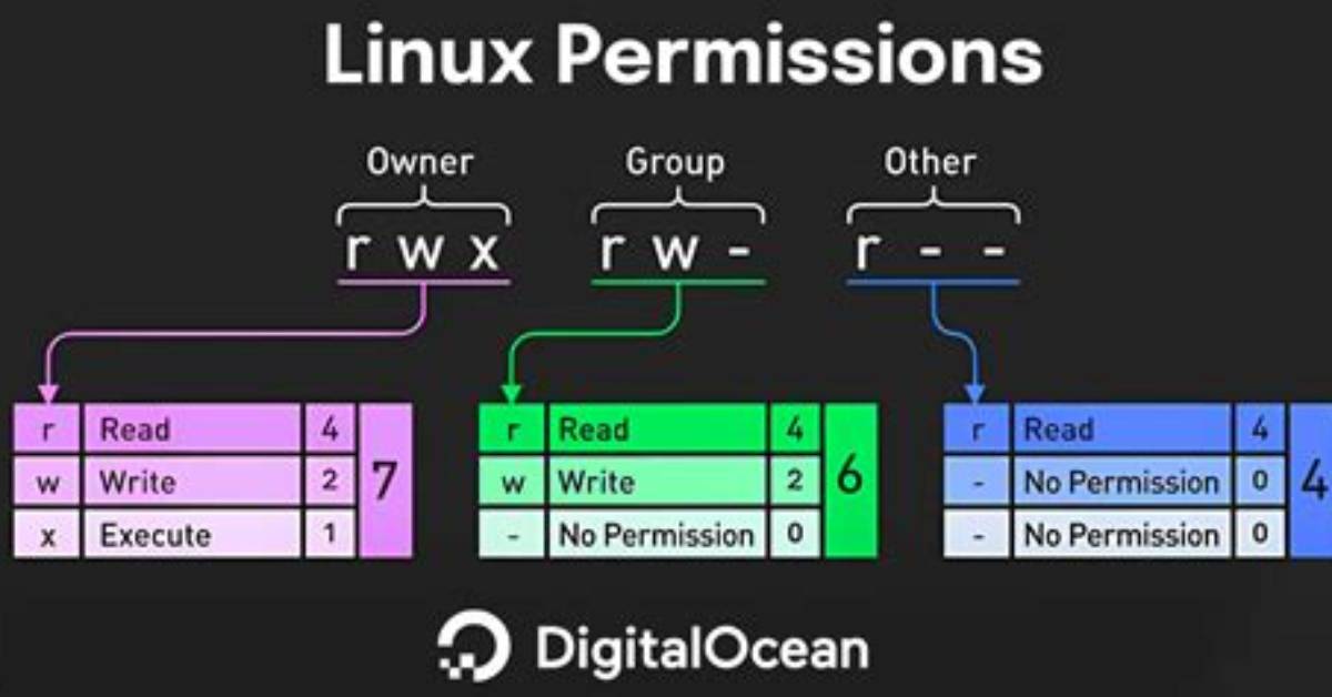 You Asked: How Do Linux Permissions Work?