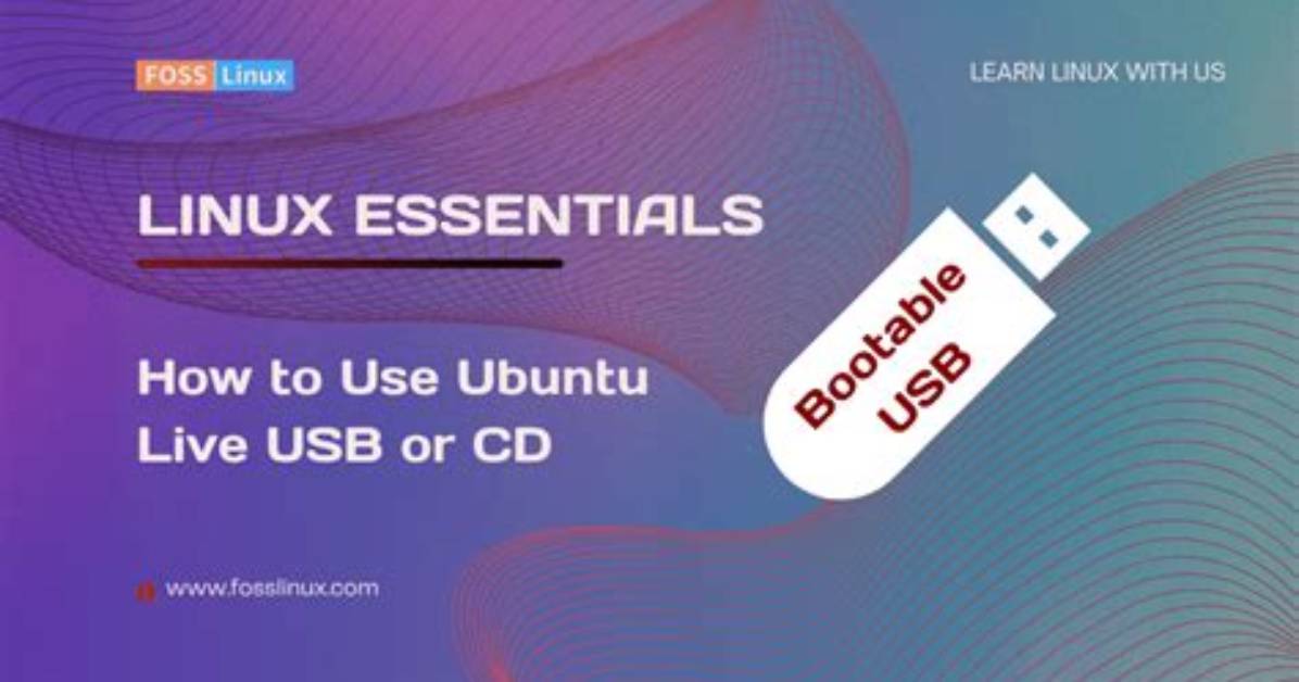 You Asked: How Does Linux Live Usb Work?