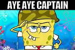 You Got It Captain!