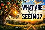 ___ You Seeing This?