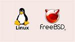 Your Question: Can Freebsd Run Linux Programs?