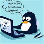 Your Question: Do Linux Programs Work on All Distros?