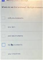 Your Question: How Do I Find Multiple Missing Files in Lightroom?
