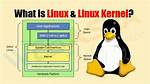 Your Question: Is Linux Kernel Written in C or C?