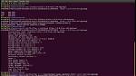 Your Question: What Is Usr Bin Linux?