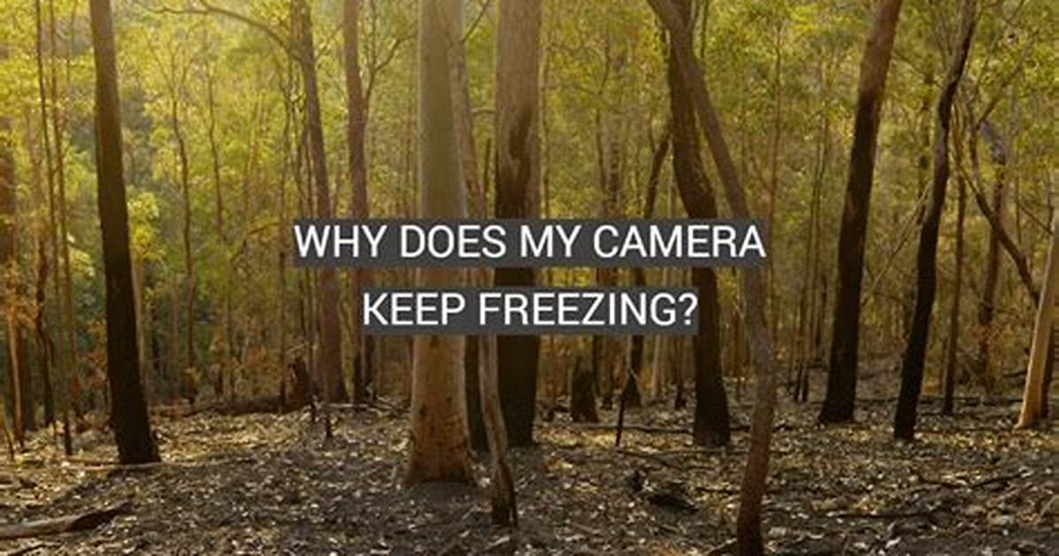 Your Question: Why Does My Android Camera Not Work?