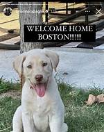 Zach Bryan Pets - Celebrity Pets