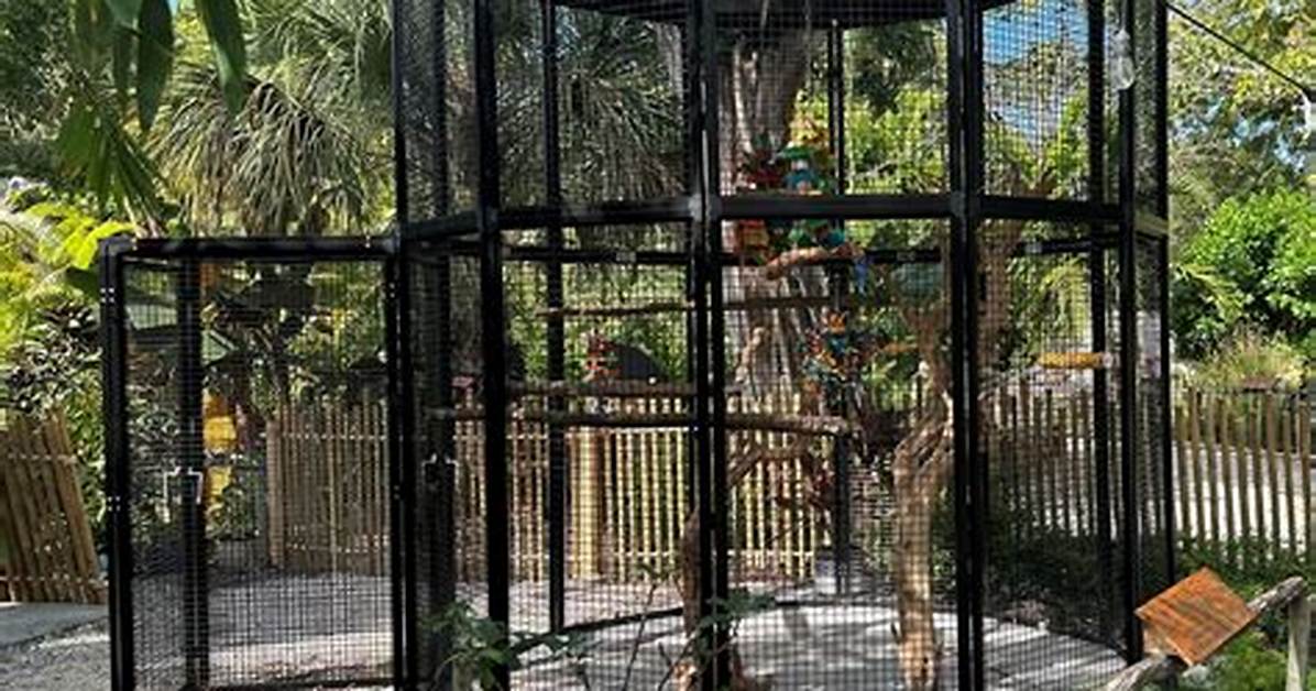 Zoo Enclosure