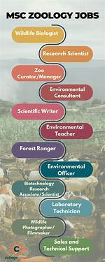 Zoology & Wildlife Internships Abroad